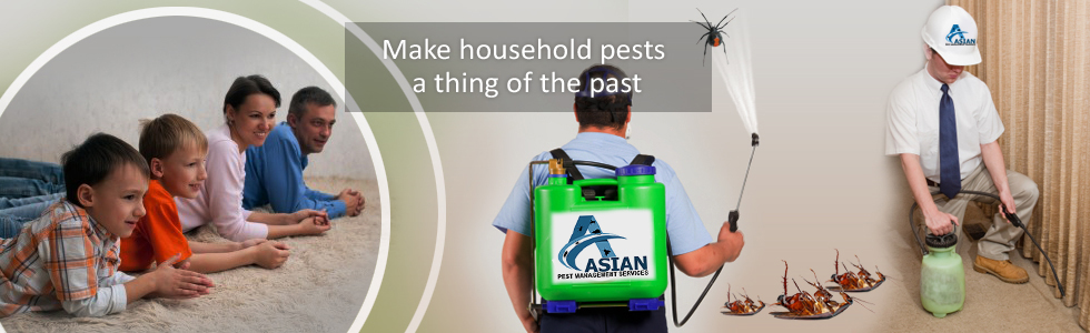 Pest Control Services